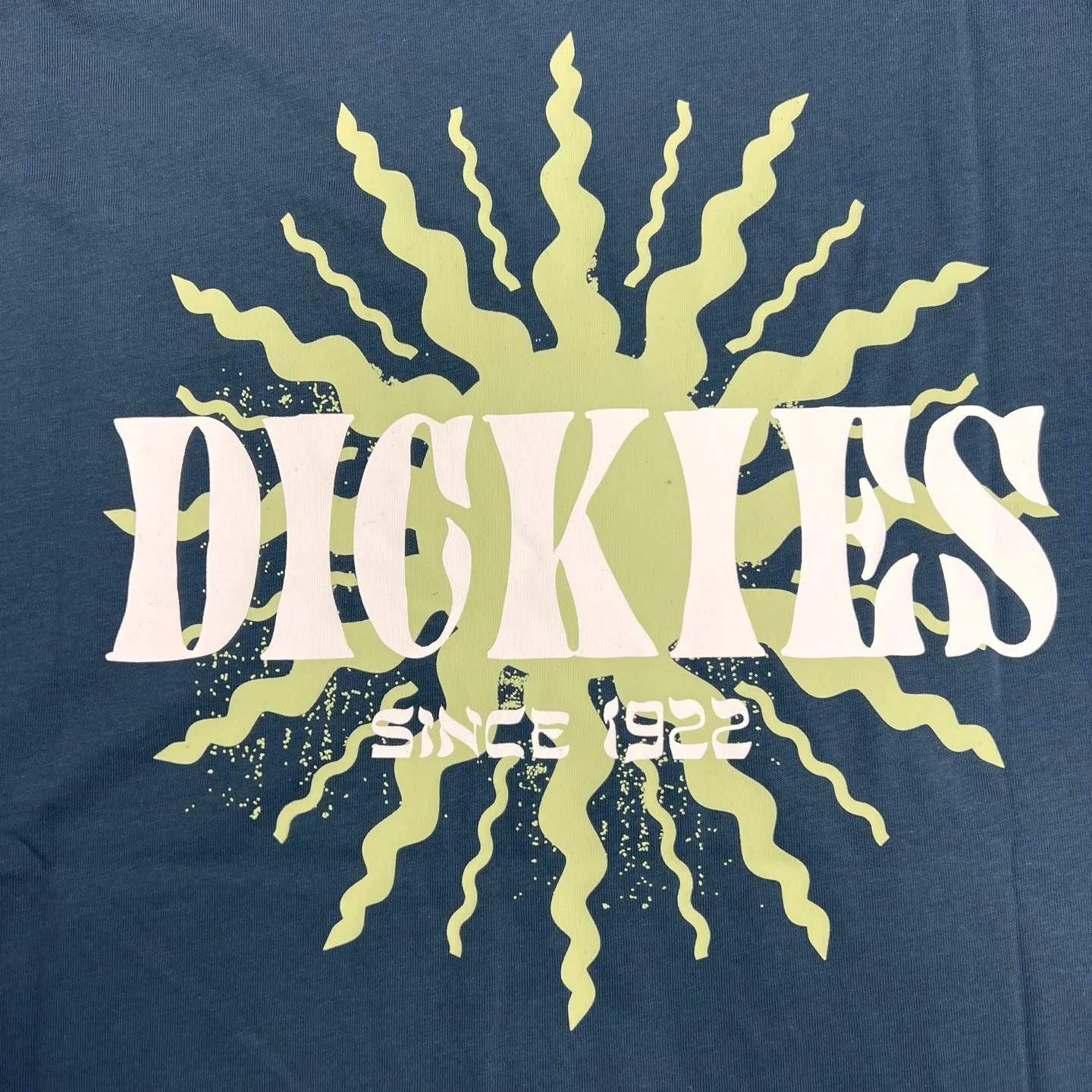 Mens Dickies Kelso Graphic T-Shirt – Stylish Casual Tee with Bold Design