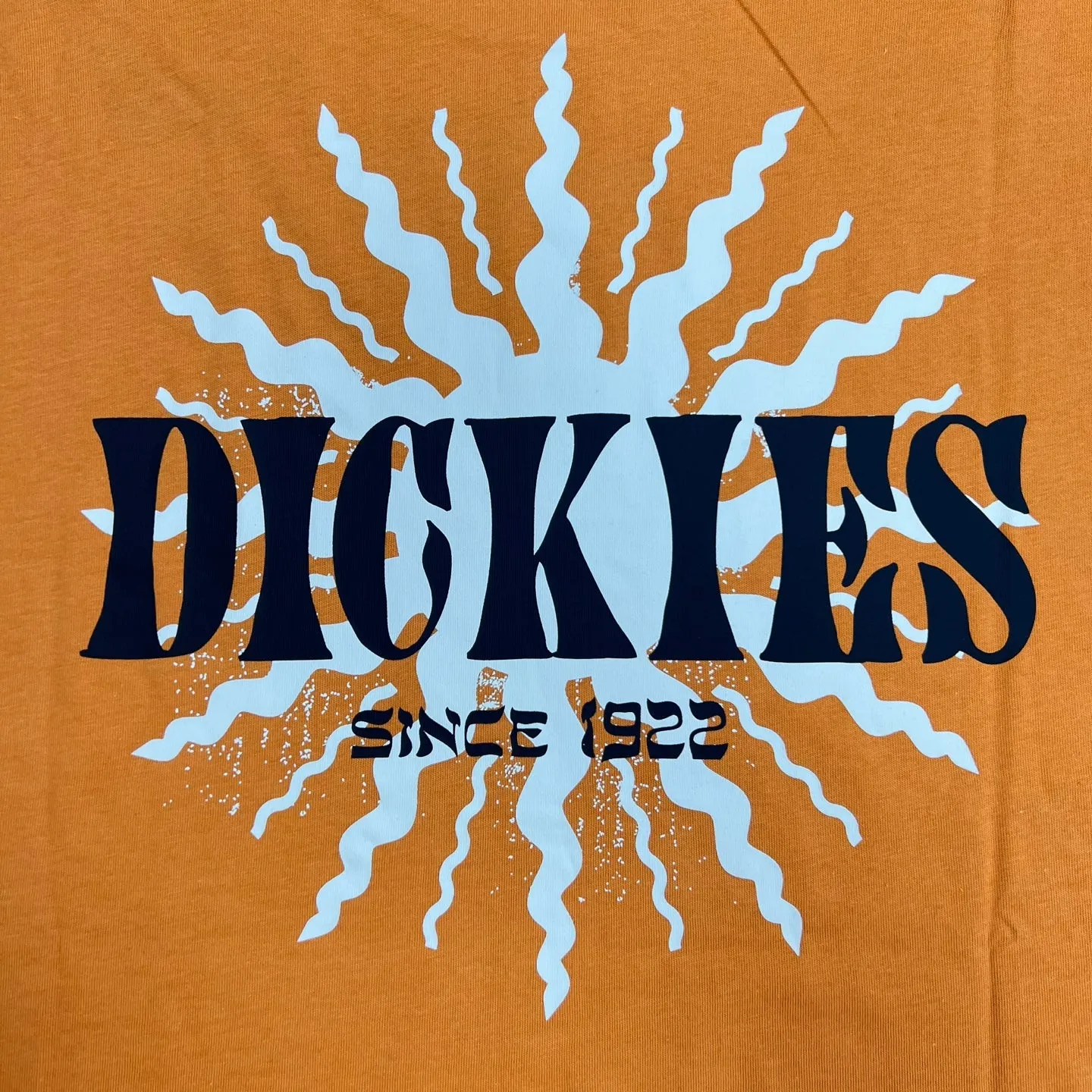 Mens Dickies Kelso Graphic T-Shirt – Stylish Casual Tee with Bold Design