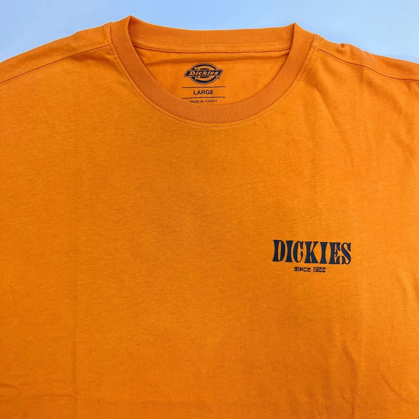 Mens Dickies Kelso Graphic T-Shirt – Stylish Casual Tee with Bold Design