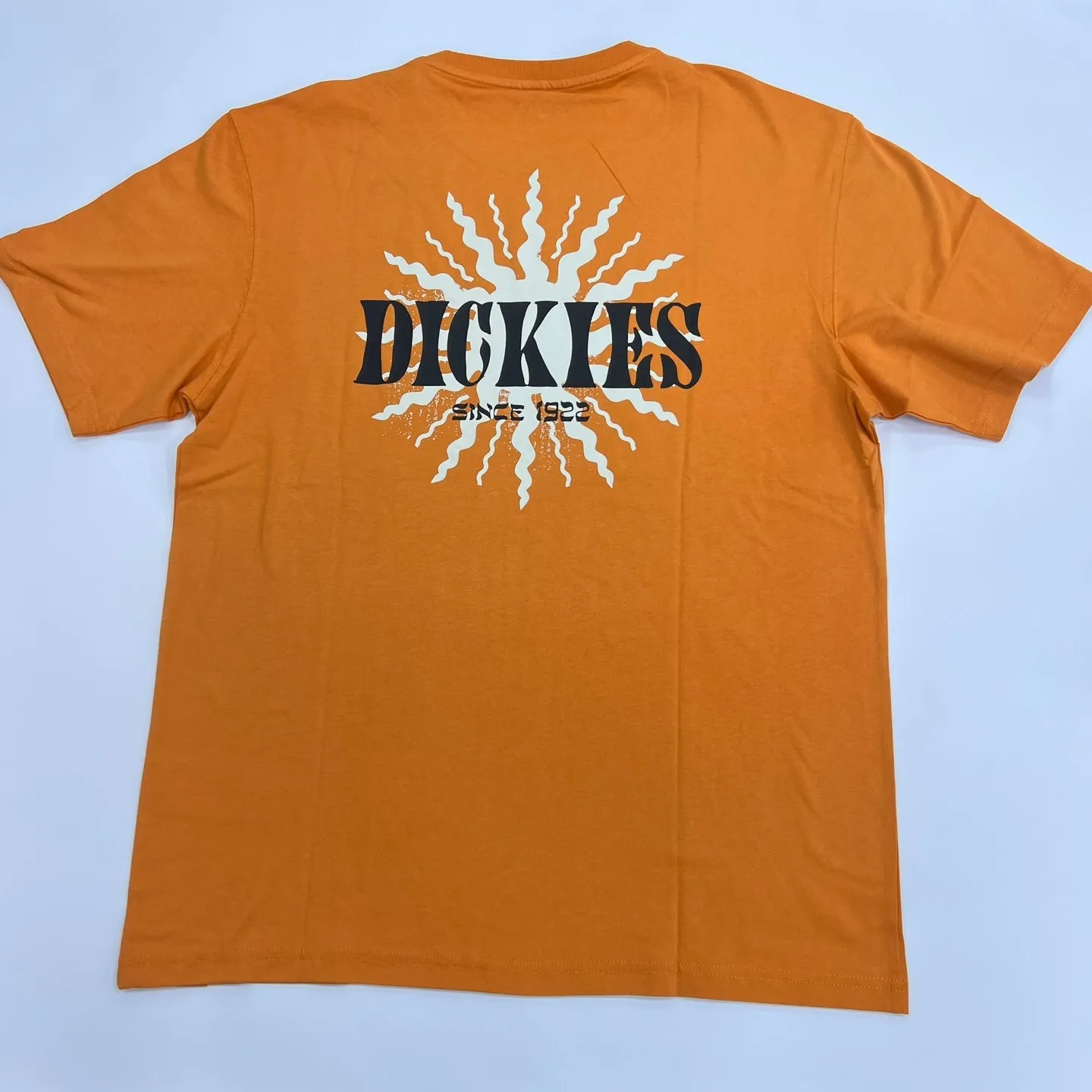 Mens Dickies Kelso Graphic T-Shirt – Stylish Casual Tee with Bold Design