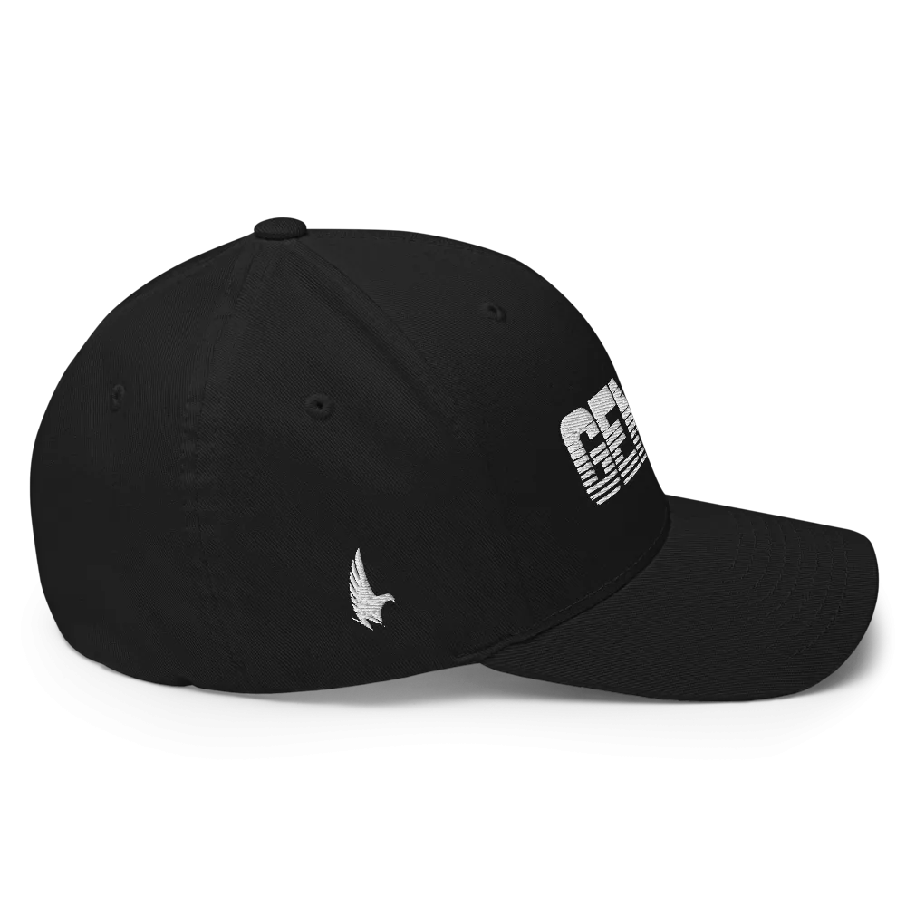 Gemini Fitted Hat