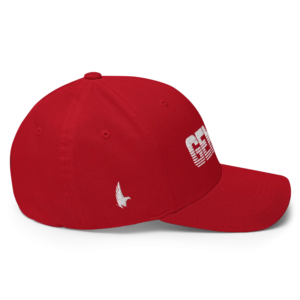 Gemini Fitted Hat