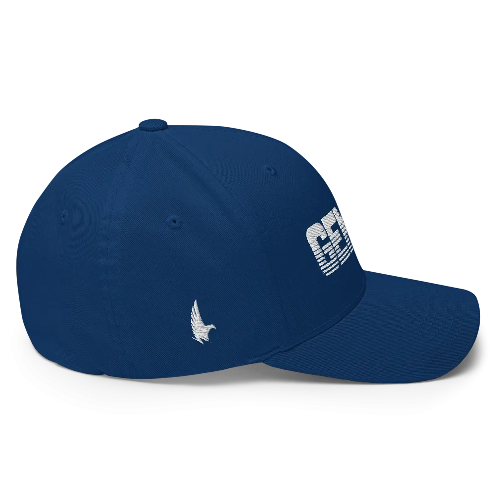 Gemini Fitted Hat