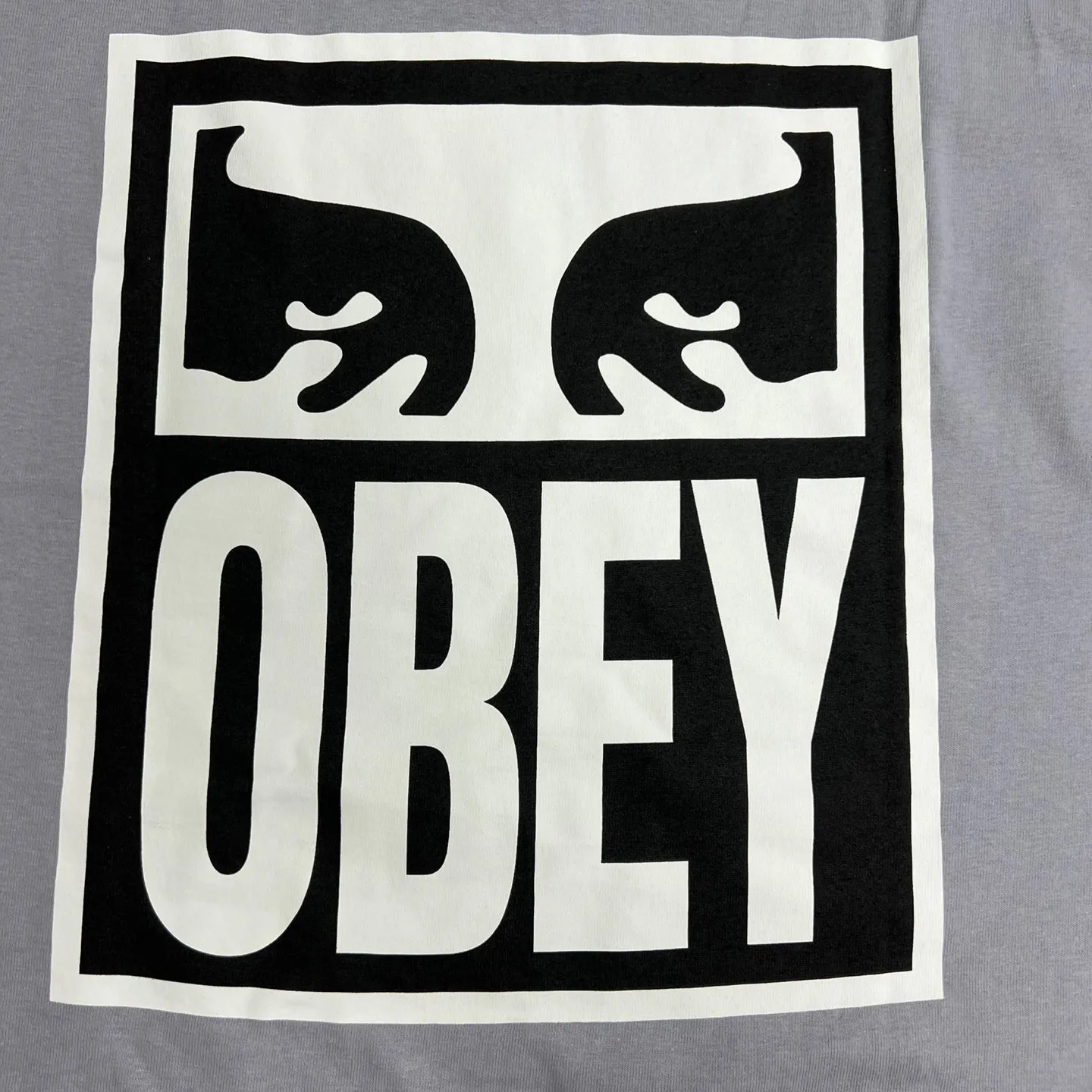 OBEY Eyes ICON 2 Heavyweight Graphic T-Shirt for Stylish Comfort