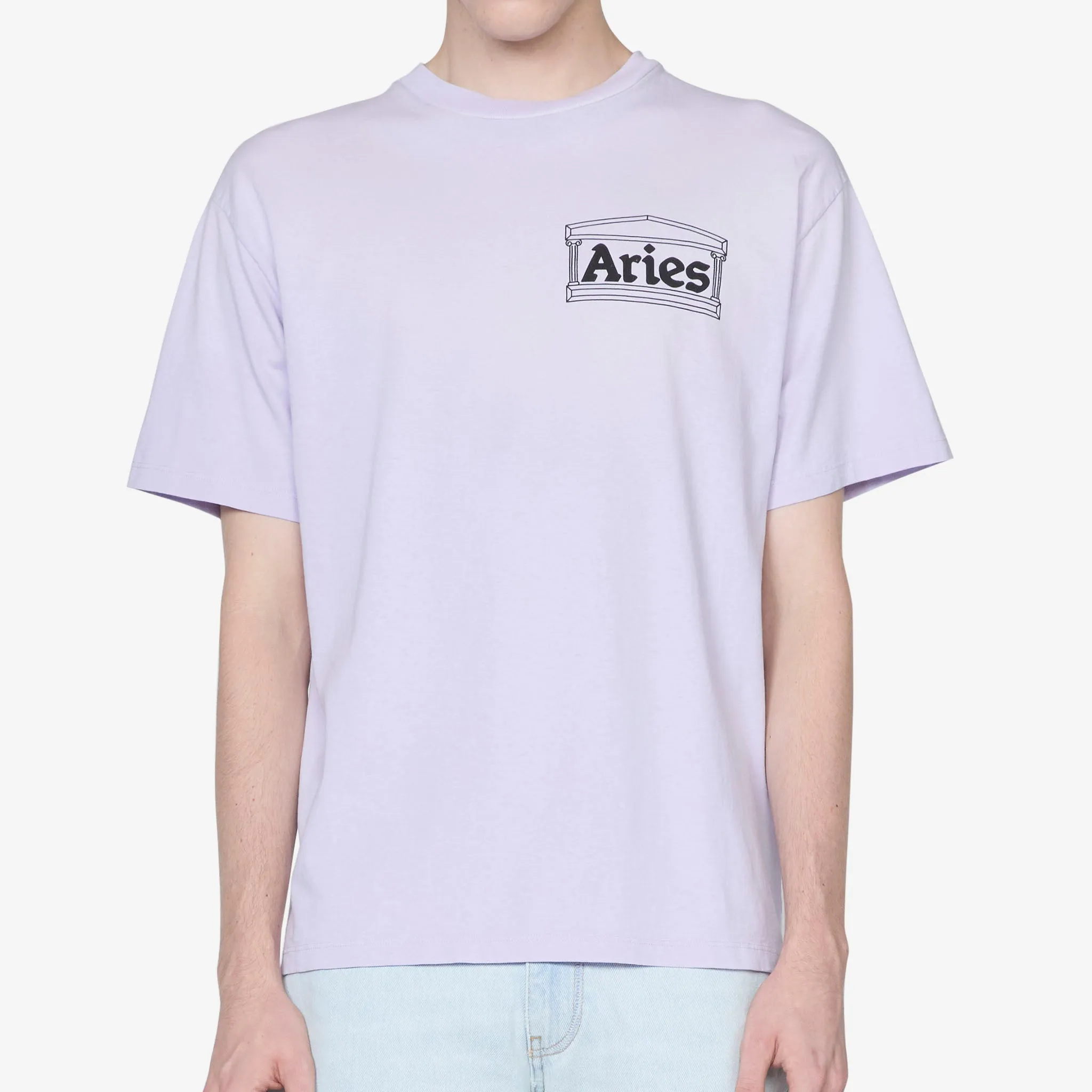 Sunbleached Temple Short Sleeve T-Shirt Purple