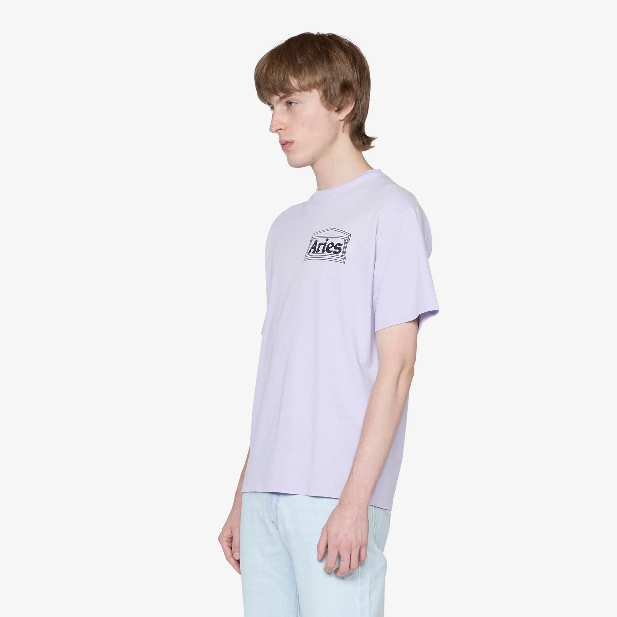 Sunbleached Temple Short Sleeve T-Shirt Purple